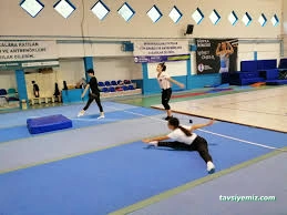 Necmi Uztürk Spor Salonu