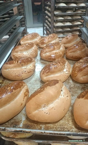 Nefis Börek Zeytinköy Şubesi