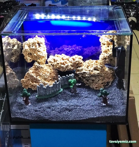 Nehir Pet Shop Ve Akvaryum