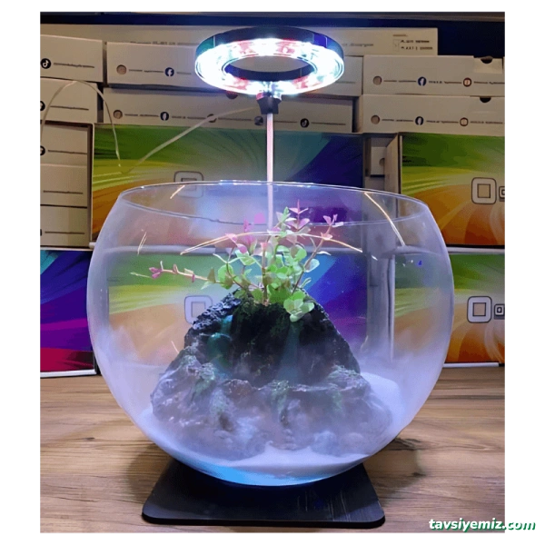 Nehir Pet Shop Ve Akvaryum