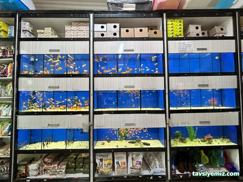 Nevşehir Okyanus Petshop