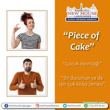 New House Dil Okulları Ve Tercümanlık