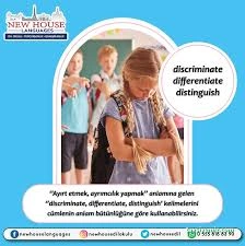 New House Dil Okulları Ve Tercümanlık