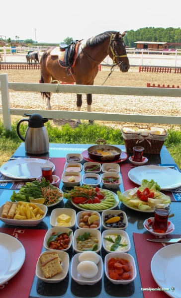 Nilüfer Atlı Spor Kulübü