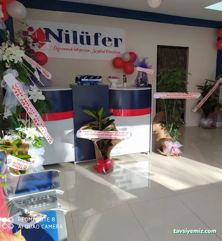 Nilüfer Turizm Bitlis