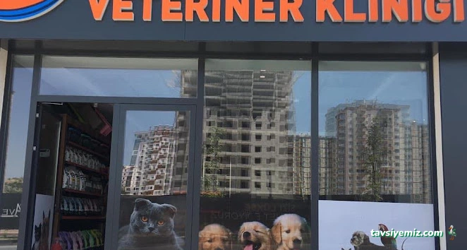 Nuhun Gemisi Veteriner Kliniği