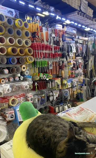 Nur Nalbur Beşiktaş