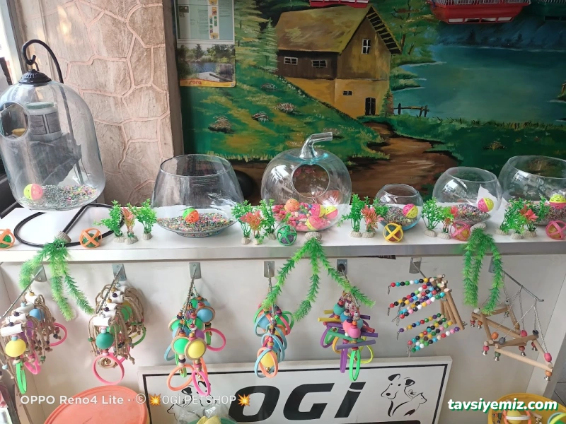 Ogi Petshop & Akvaryum