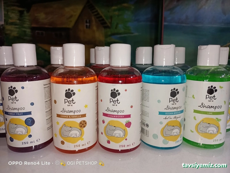 Ogi Petshop & Akvaryum