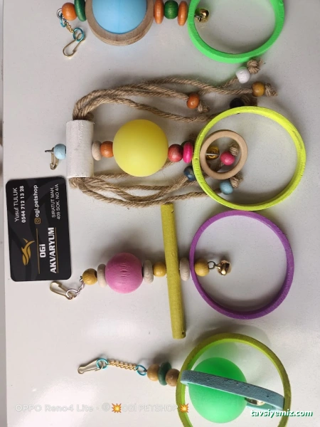 Ogi Petshop & Akvaryum