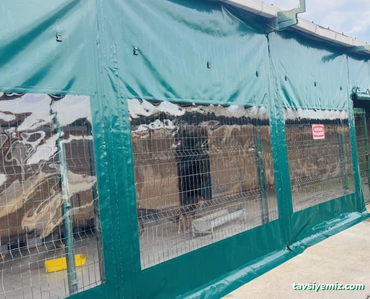 Oğuz Tente & Branda