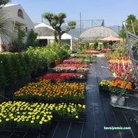 Oklu Peyzaj Ve Fidancılık