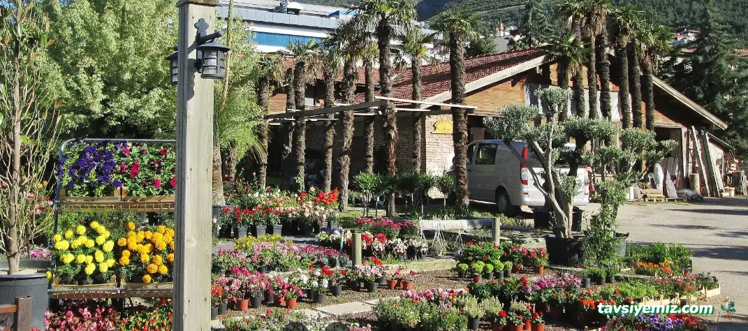 Oklu Peyzaj Ve Fidancılık