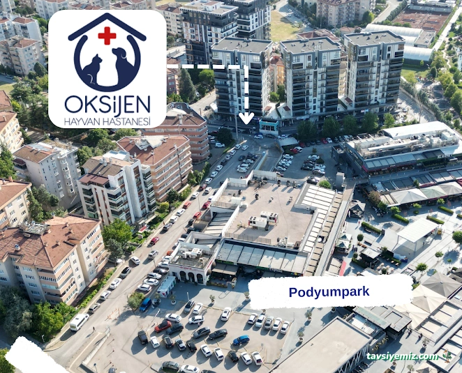 Oksijen Hayvan Hastanesi