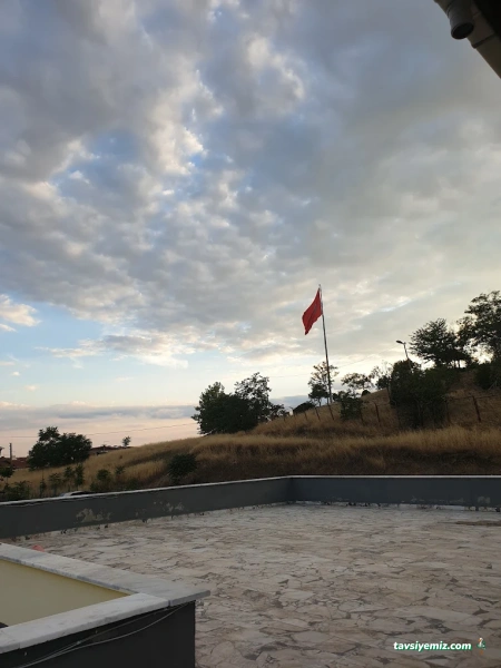 Olimpia Organizasyon