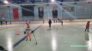 Olimpik Buz Sporları Salonu