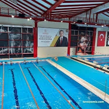 Olimpik Yüzme Havuzu