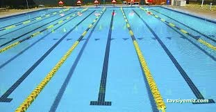 Olimpik Yüzme Havuzu