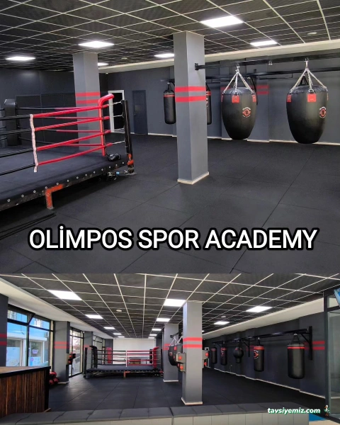 Olimpos Spor Akademi
