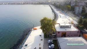 Olive Cafe & Restaurant