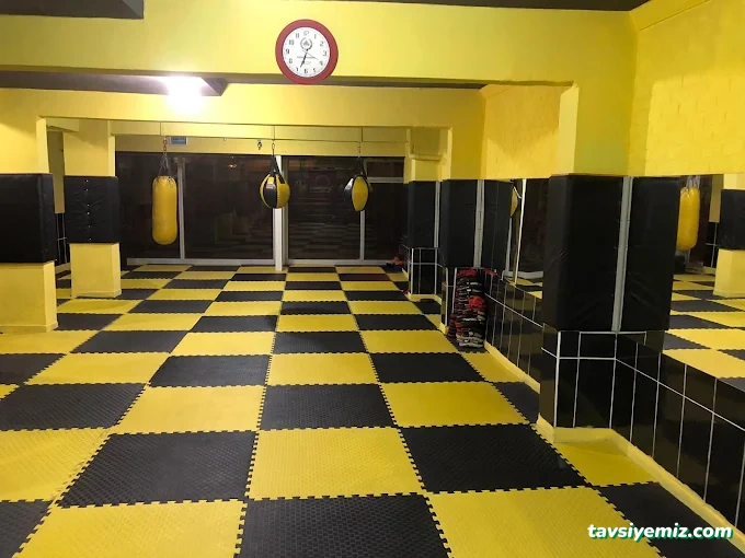 Ölmez Kick Boks Spor Kulübü