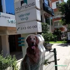 Olympos Vet