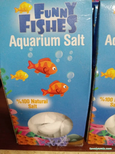 Öncel Akvaryum Petshop