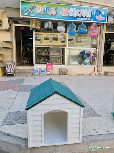 Öncel Akvaryum Petshop