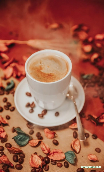 Ordu Nargile Cafe,Ordu Hookah Masha نارجيلة