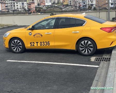 Ordu Otogar Taksi
