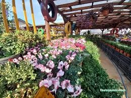 Ordu Sera Botanik Market