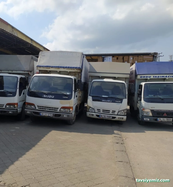 Ordu Taşımacılık Ve Nak.hiz.ltd.şti