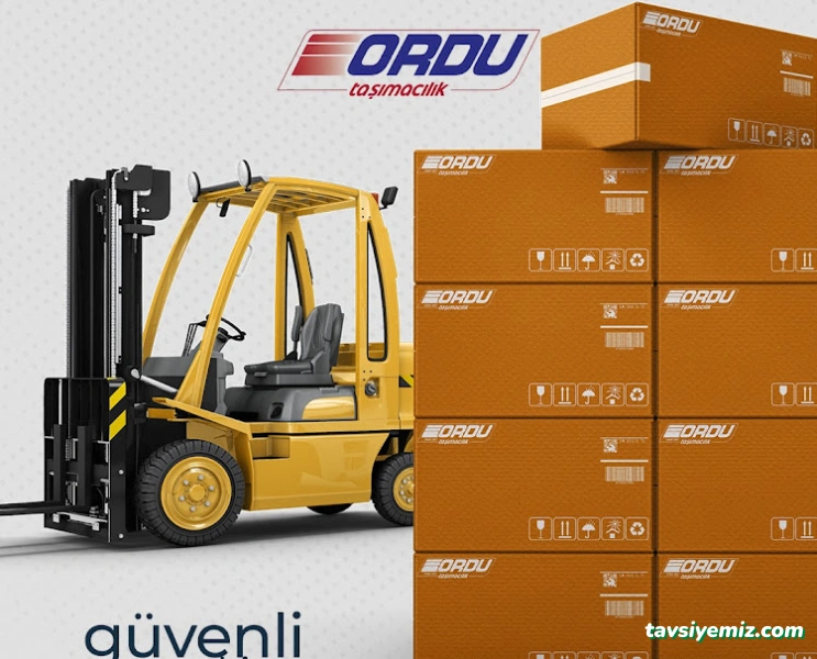 Ordu Taşımacılık Ve Nak.hiz.ltd.şti