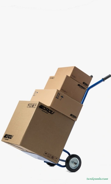 Ordu Taşımacılık Ve Nak.hiz.ltd.şti