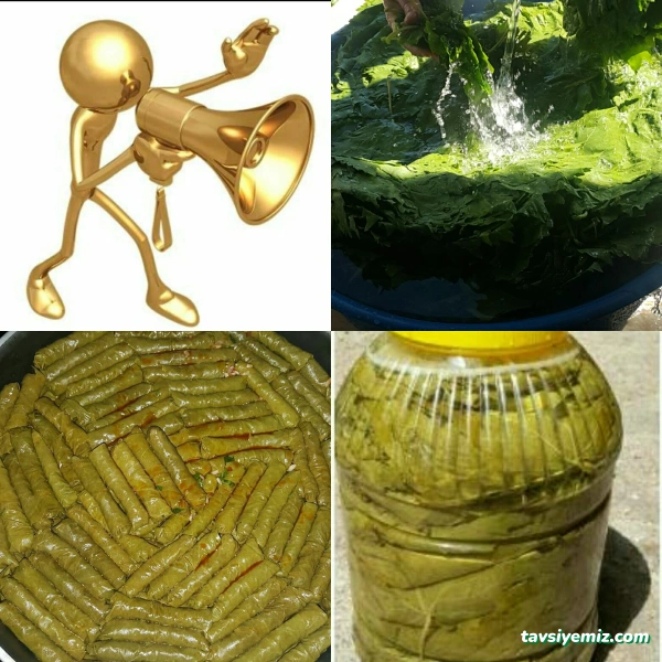 Organik Gıda Manisa