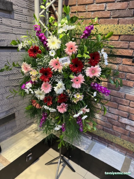 Orkide Çiçekçilik