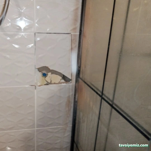 Örnek Sıhhi Tesisat Tekirdağ Cihaz İle Su Kaçak Tespiti Tamiri Her Marka Gömme Rezervuar Tamir Bakımı Sifon Tamiri Tamircisi