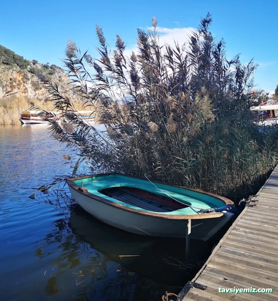 Ortaca Belediyesi Kaunos Kral Bahçesi