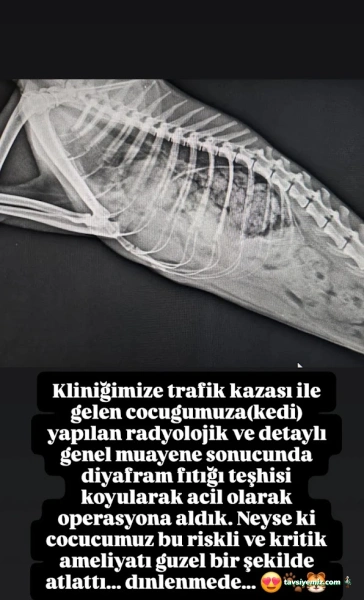 Ortaca Güneybatı Veteriner Kliniği