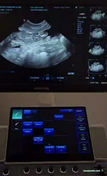 Ortaca Güneybatı Veteriner Kliniği