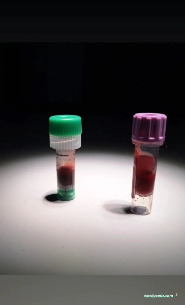 Ortaca Güneybatı Veteriner Kliniği