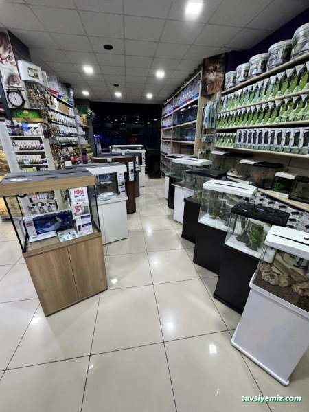 Ortadoğu Akvaryum Ve Pet Shop