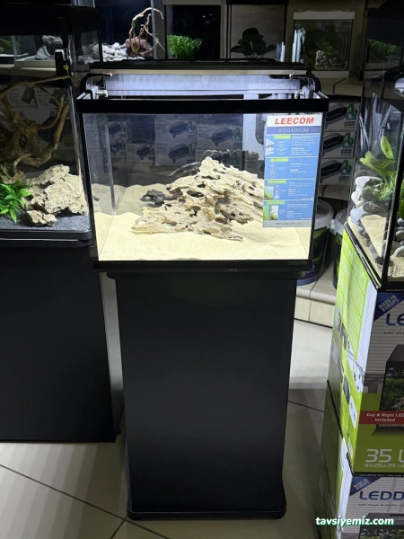 Ortadoğu Akvaryum Ve Pet Shop