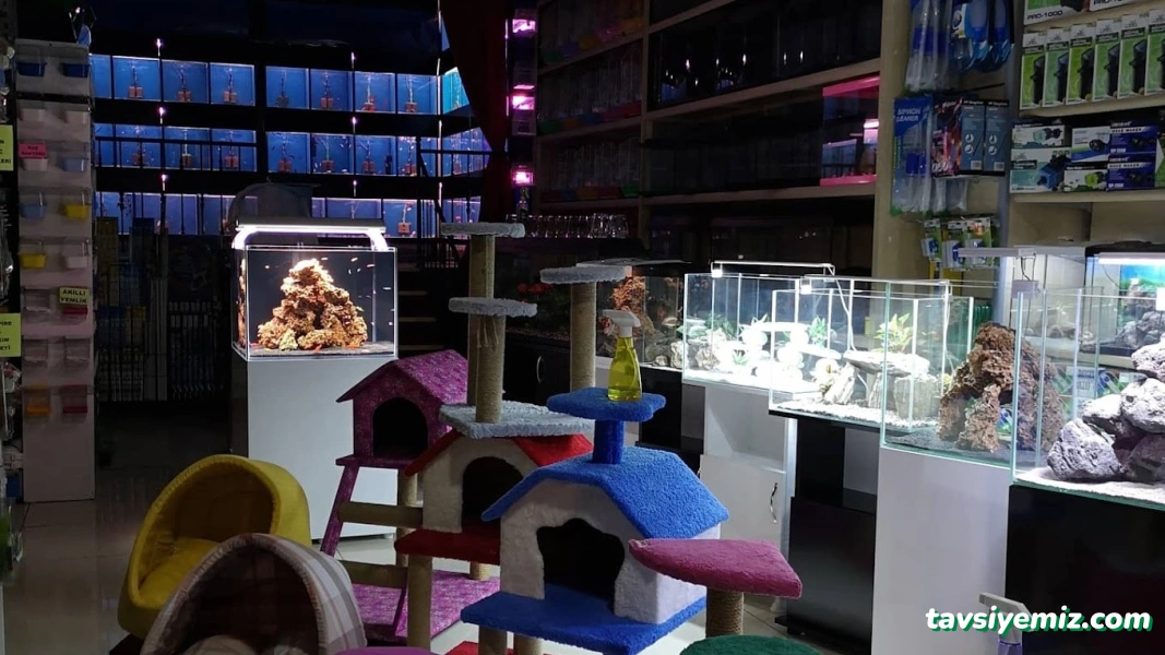 Ortadoğu Akvaryum Ve Pet Shop