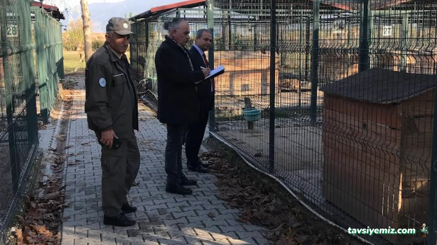 Osmaniye Hayvan Barınağı