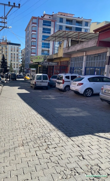 Oto Beyin Ozzy Dizayn