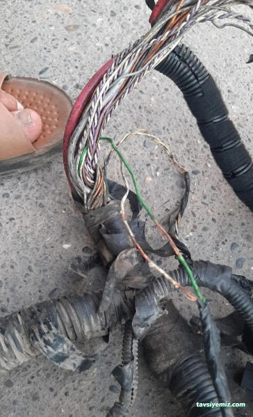 Oto Elektrik Ahmet Usta