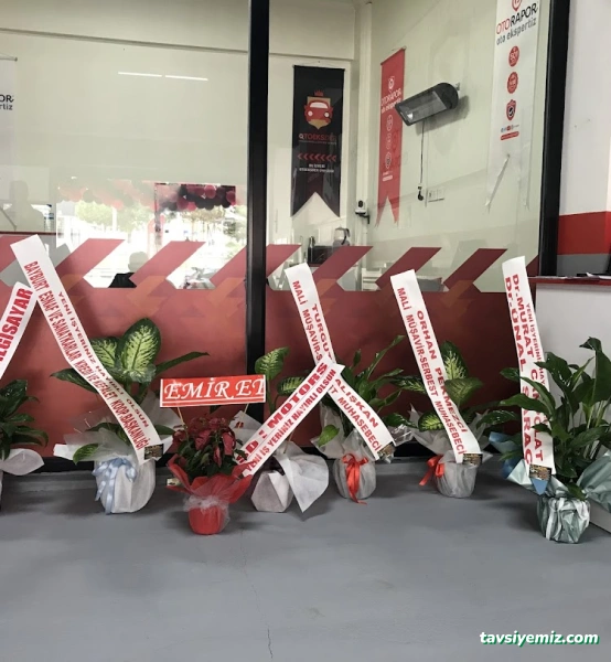 Otorapor Bayburt Merkez Oto Ekspertiz