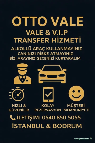 Otto Vale V.i.p Transfer