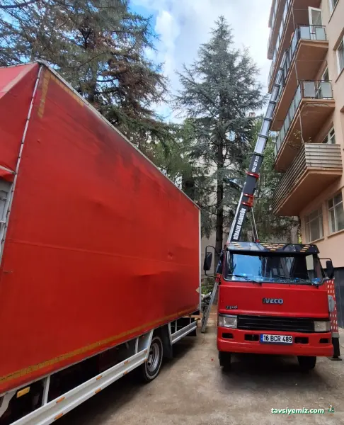 Öz Bilgin Asansörlü Evden Eve Nakliyat